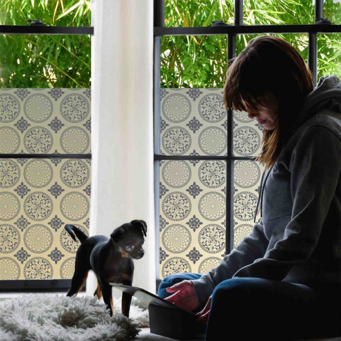 stickpretty_privacy_window_film_gothica_slt