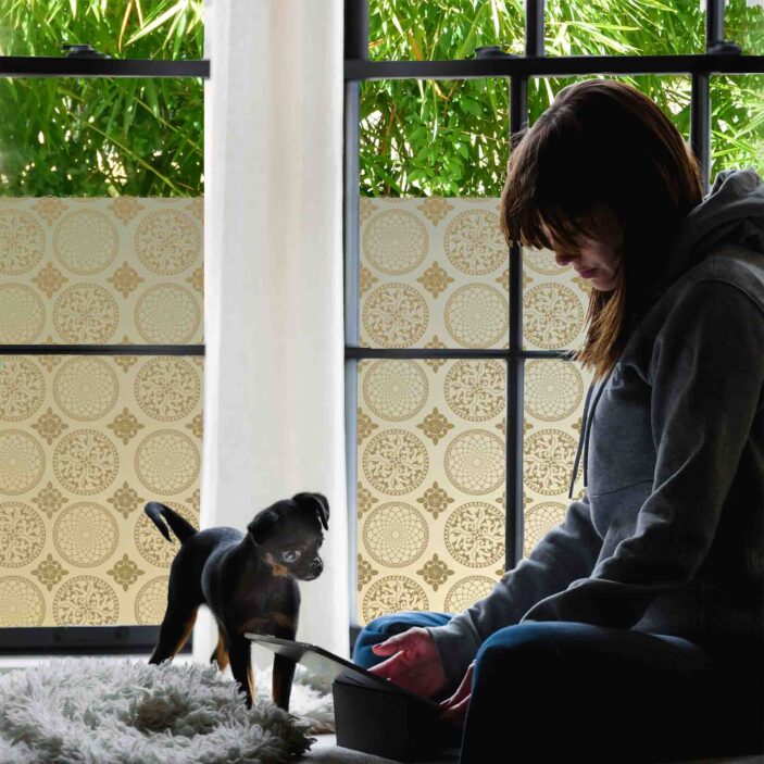 stickpretty_privacy_window_film_gothica_tof
