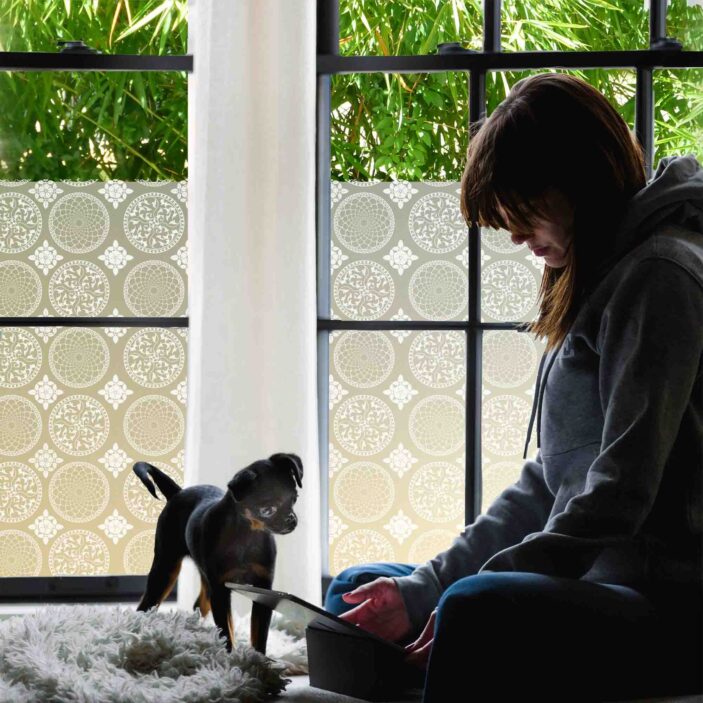 stickpretty_privacy_window_film_gothica_wh