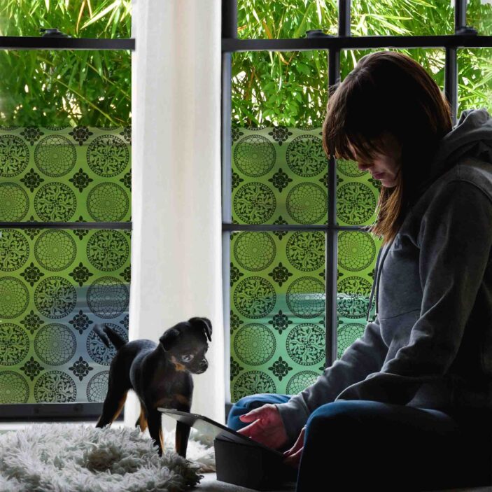 stickpretty_sheer_privacy_window_film_gothica_bk