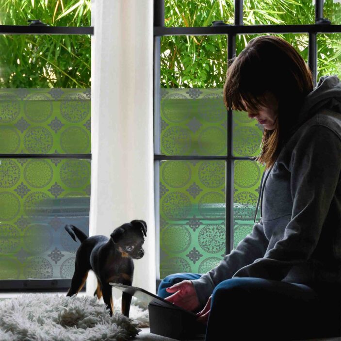 stickpretty_sheer_privacy_window_film_gothica_slt