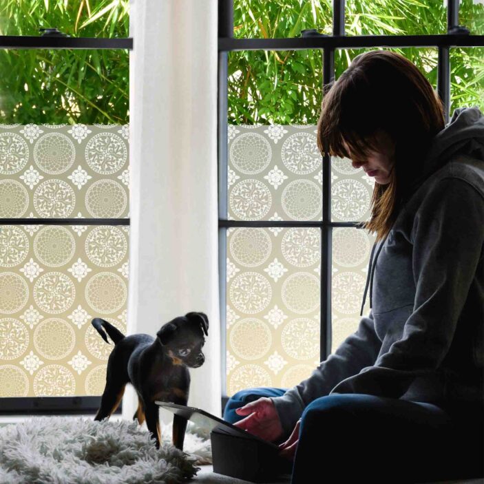 A girl and her dog enjoy window privacy film in a peaceful bedroom setting.
