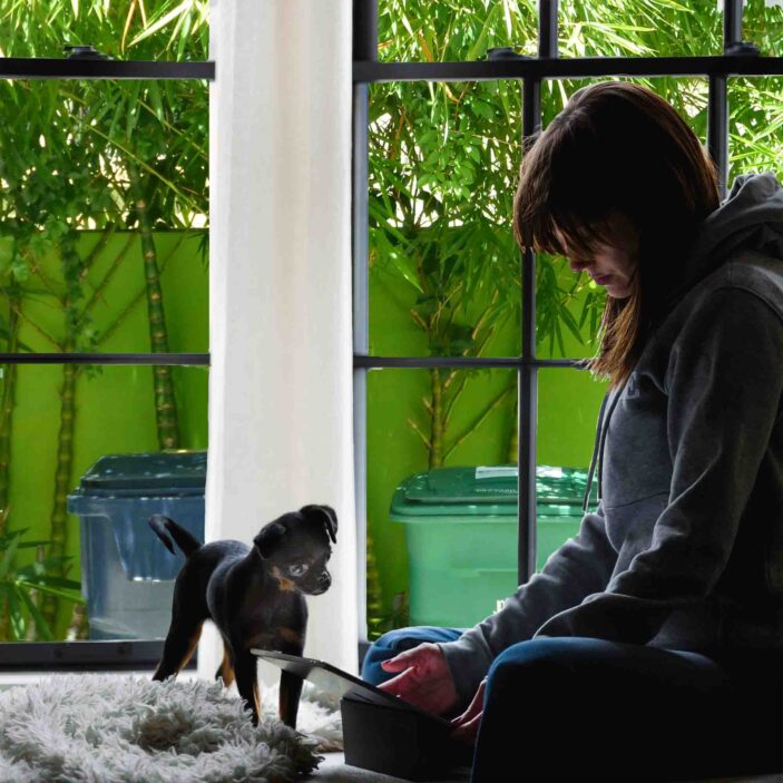 STICKPRETTY_PAISLEY_NO_FILM Without Privacy Window Film