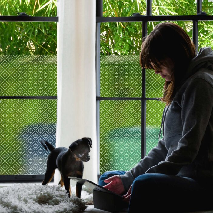 StickPretty-Privacy-Window-Film-Jane-Sheer-White StickPretty-Privacy-Window-Film-Jane-Sheer-White