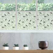 stickpretty_privacy_window_film_dragonflies_bk.jpg