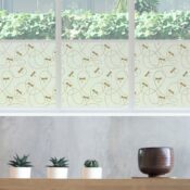 stickpretty_privacy_window_film_dragonflies_tof.jpg