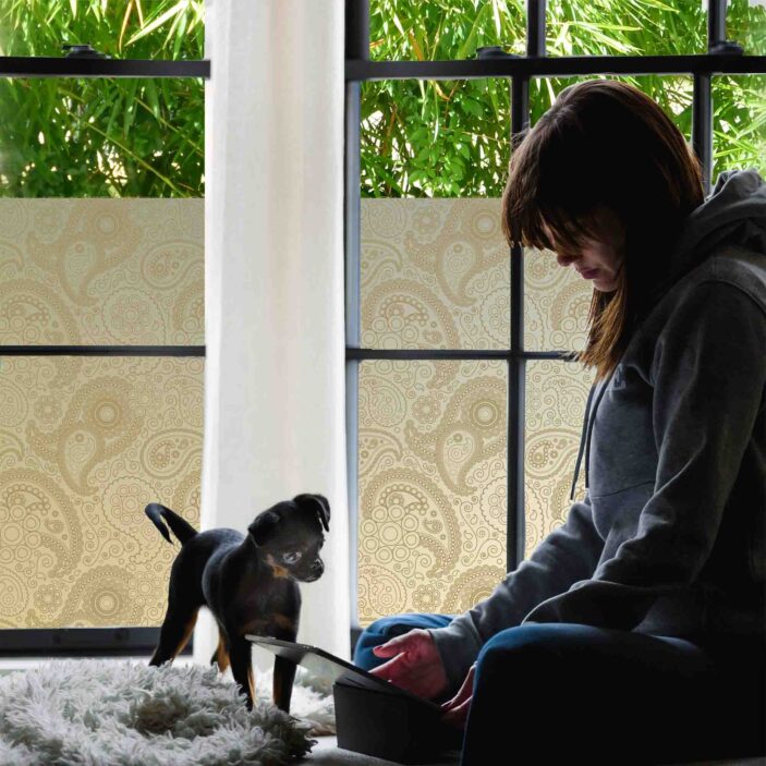 stickpretty_privacy_window_film_paisley_tof.jpg stickpretty_privacy_window_film_paisley_tof.jpg