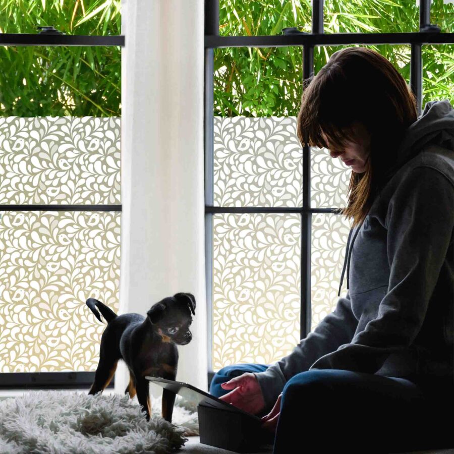 Removable privacy window film is shown here in a bedroom with a girl and dog. The print features a 60s looking bird and leaves.