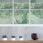 Dragonflies Privacy Window Film