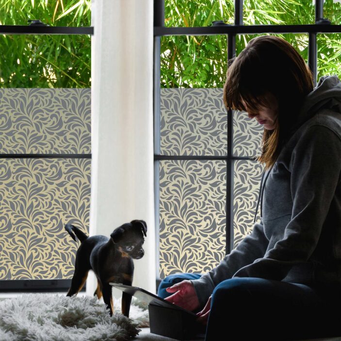 stickpretty_privacy_window_film_gossamer_slt.jpg stickpretty_privacy_window_film_gossamer_slt.jpg