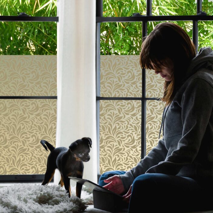 stickpretty_privacy_window_film_gossamer_tof.jpg stickpretty_privacy_window_film_gossamer_tof.jpg