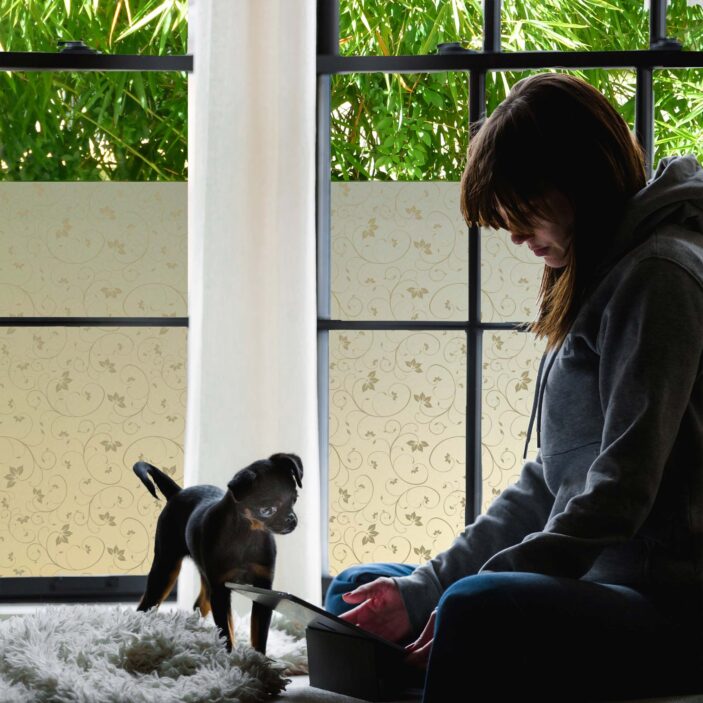 stickpretty_privacy_window_film_jasmine_tof.jpg stickpretty_privacy_window_film_jasmine_tof.jpg