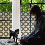 A girl and puppy sit by a window covered in Window Privacy Film. THe patter is a bold black circular repeat.
