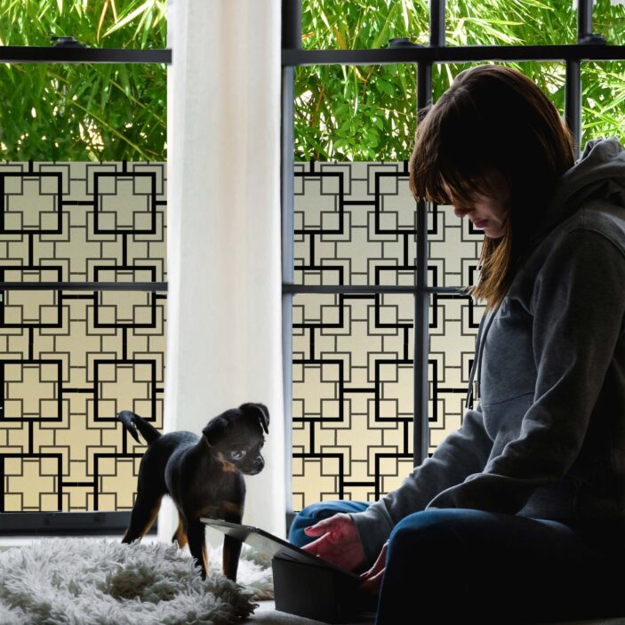 stickpretty_privacy_window_film_peggy_bk.jpg stickpretty_privacy_window_film_peggy_bk.jpg