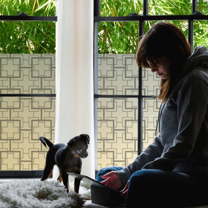 stickpretty_privacy_window_film_peggy_slt.jpg stickpretty_privacy_window_film_peggy_slt.jpg