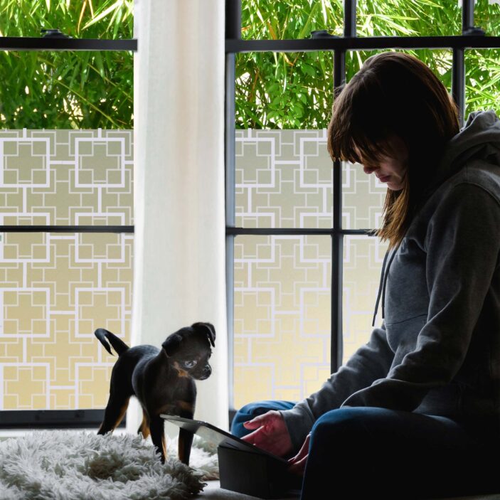 Film Peggy wh Privacy Window Film