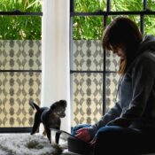 stickpretty_privacy_window_film_venetian_bk.jpg