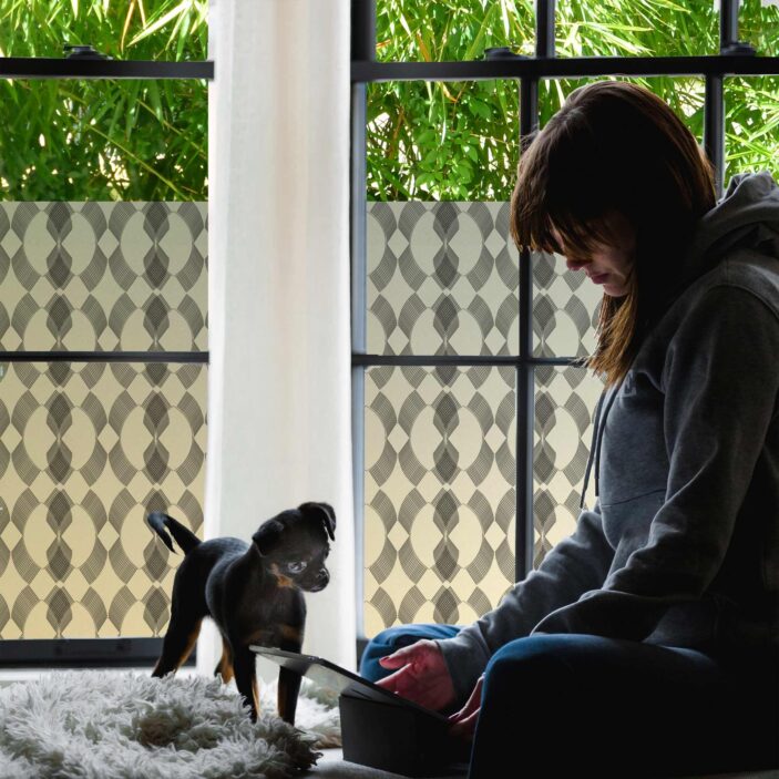 stickpretty_privacy_window_film_venetian_bk.jpg