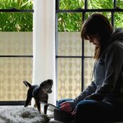 stickpretty_privacy_window_film_venetian_tof.jpg
