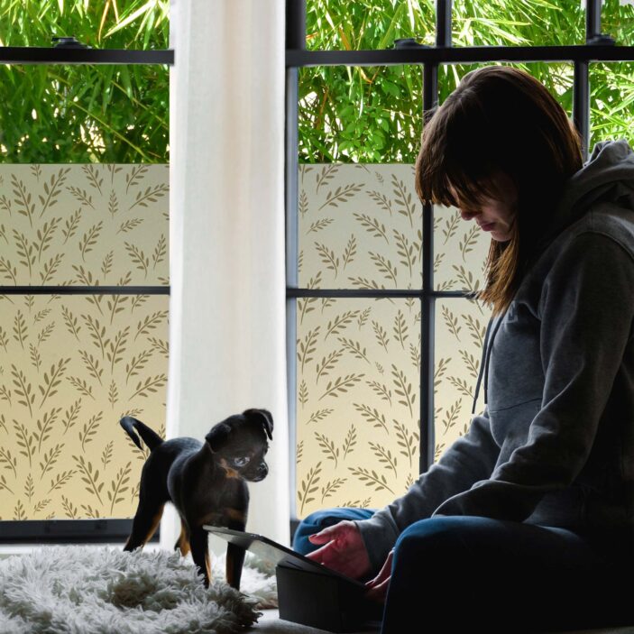 stickpretty_privacy_window_film_wild_oats_tof.jpg stickpretty_privacy_window_film_wild_oats_tof.jpg