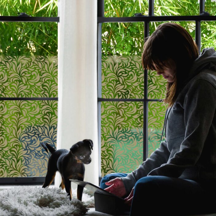 stickpretty_sheer_privacy_window_film_gossamer_tof.jpg Gossamer tof Privacy Window Film