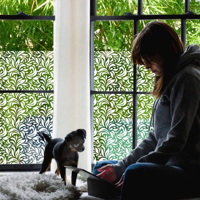 stickpretty_sheer_privacy_window_film_gossamer_wh.jpg stickpretty_sheer_privacy_window_film_gossamer_wh.jpg