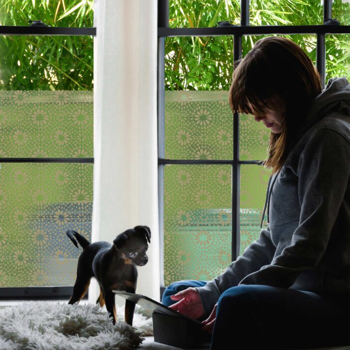 stickpretty_sheer_privacy_window_film_otto_tof.jpg stickpretty_sheer_privacy_window_film_otto_tof.jpg