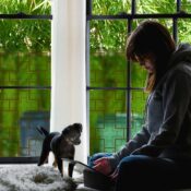 Peggy tof Privacy Window Film