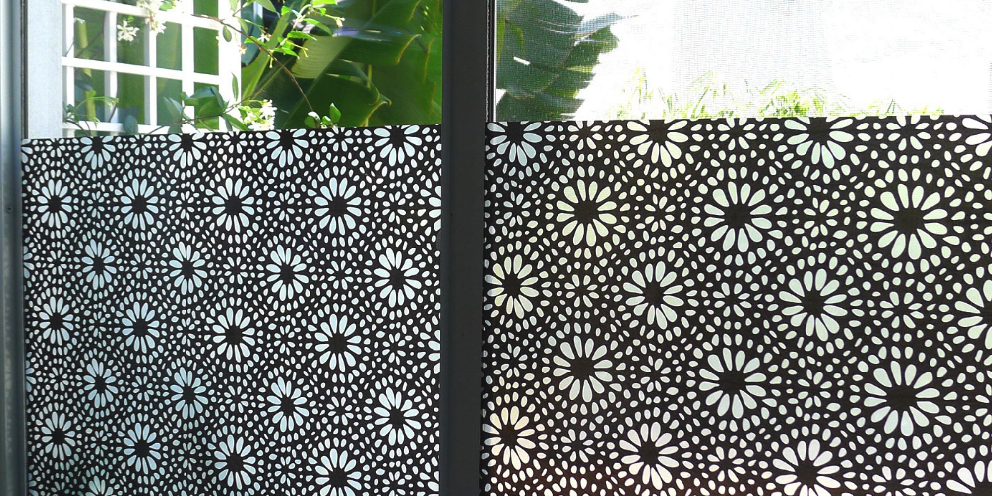 PRIVACY WINDOW FILM 6 Best Reasons to Buy Today